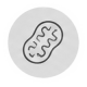 icon3